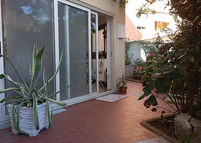 Gnomo Leo * Cascina (Pisa)